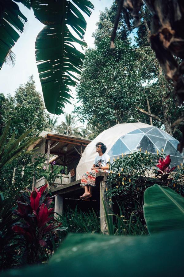 Bali Jungle Camping By Amerta Experience Tabanan  Exterior photo
