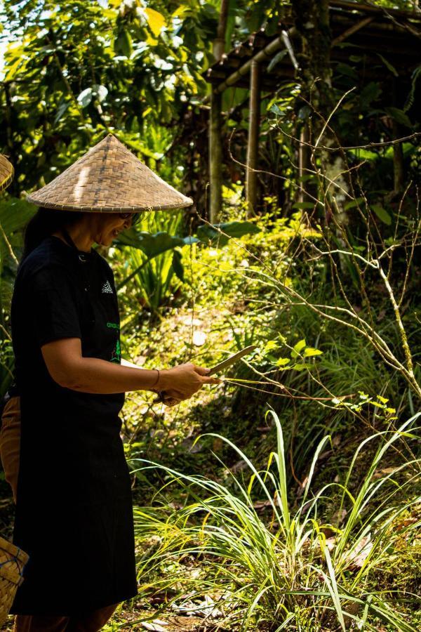 Bali Jungle Camping By Amerta Experience Tabanan  Exterior photo