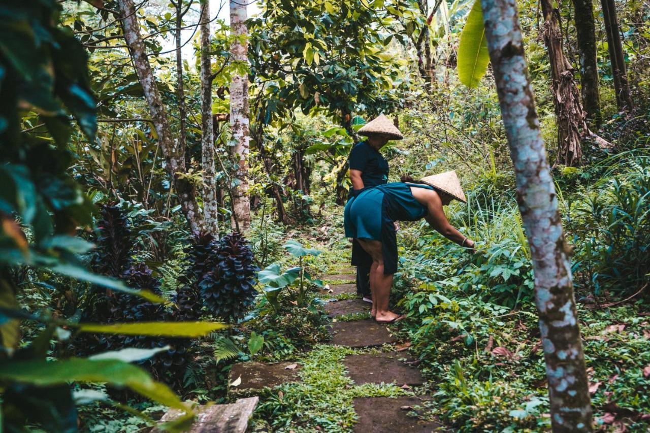 Bali Jungle Camping By Amerta Experience Tabanan  Exterior photo