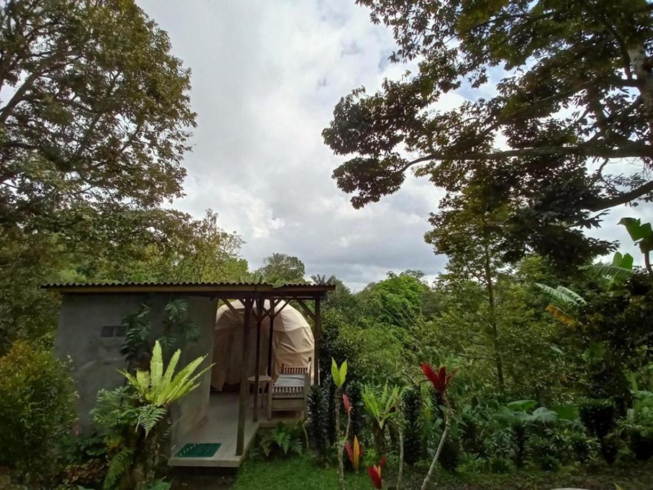 Bali Jungle Camping By Amerta Experience Tabanan  Exterior photo