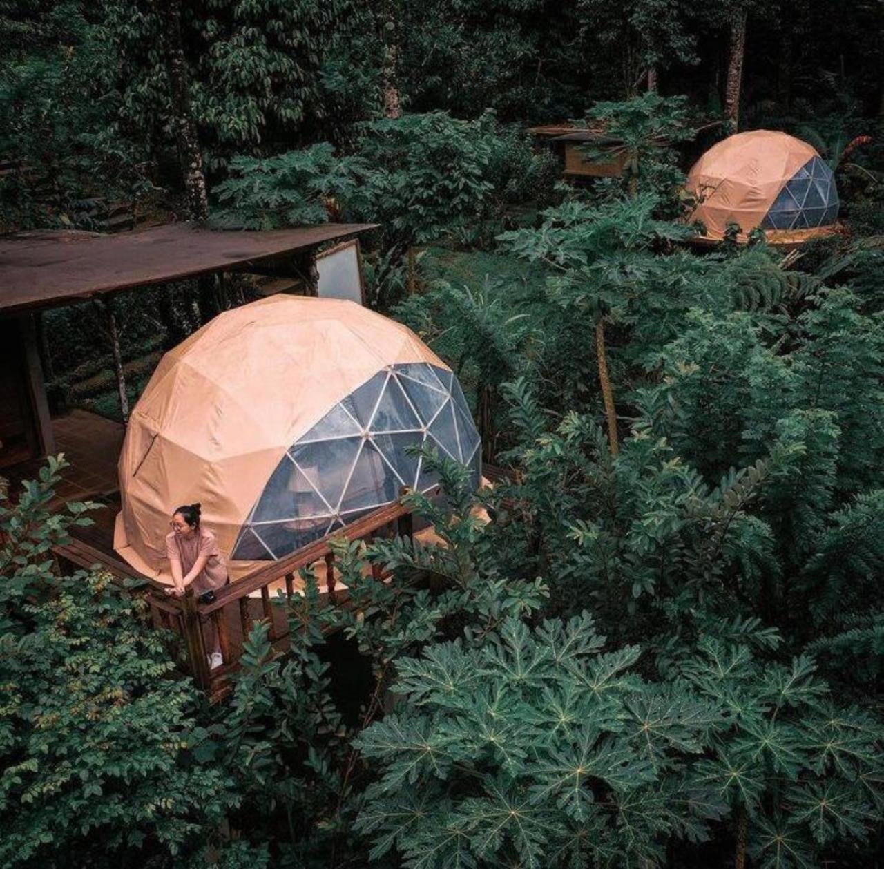 Bali Jungle Camping By Amerta Experience Tabanan  Exterior photo