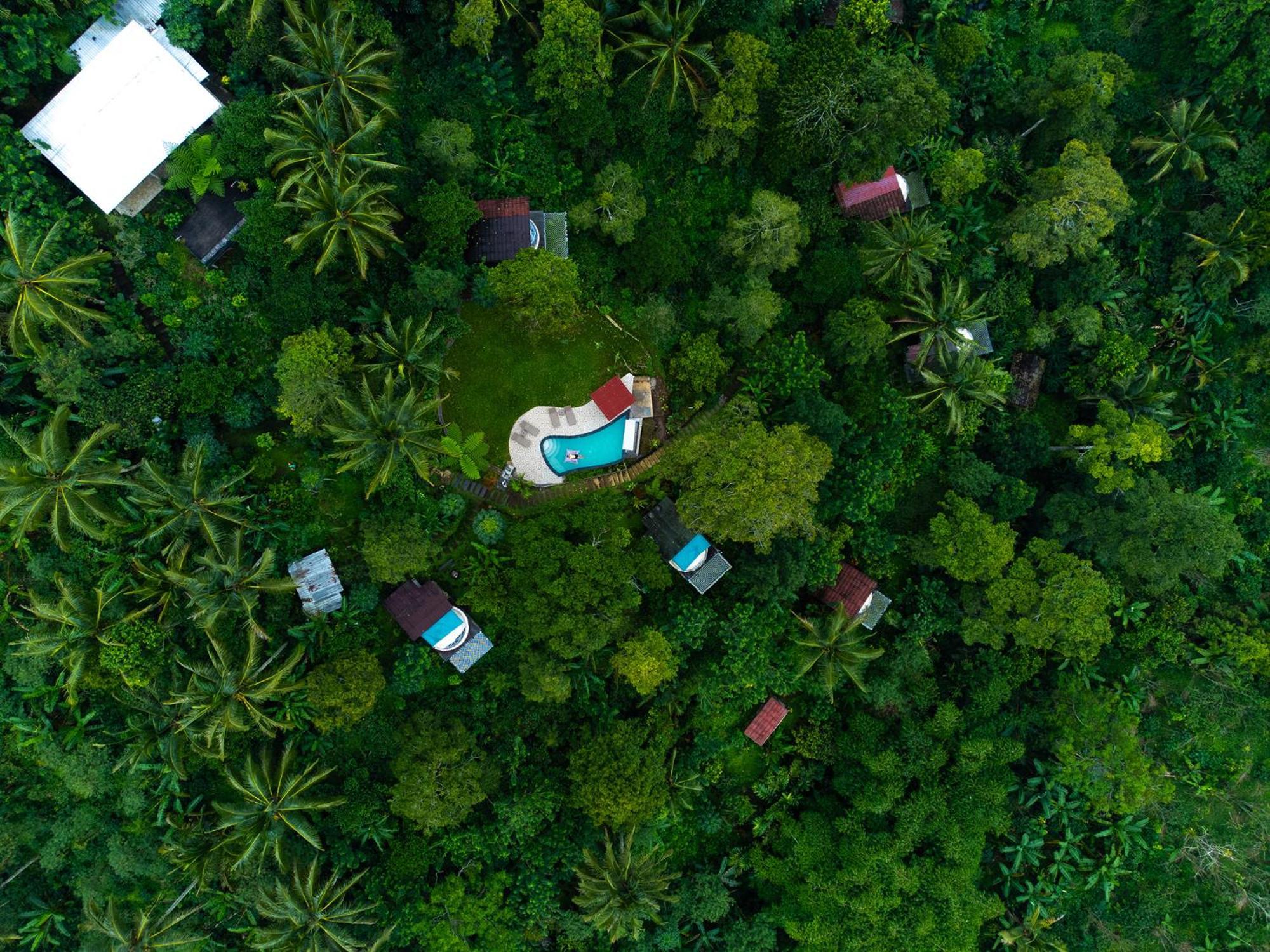 Bali Jungle Camping By Amerta Experience Tabanan  Exterior photo
